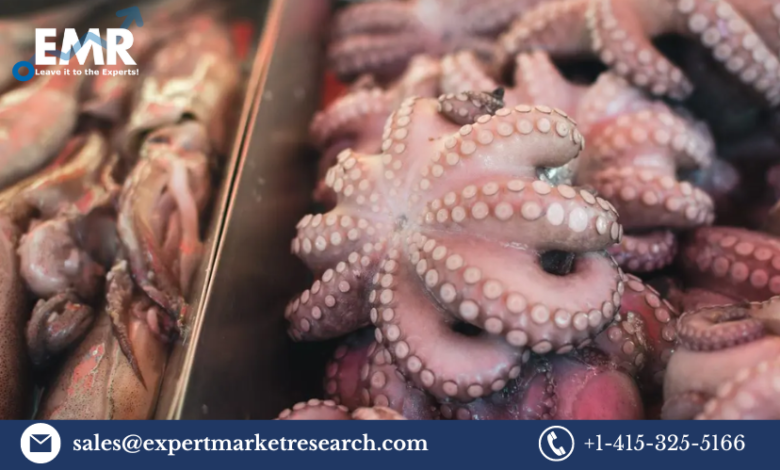 Octopus Market