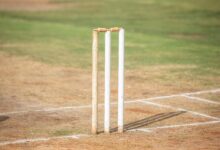 Stumps Meaning in Cricket